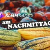 SLMM | am Nachmittag