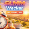 SLMM | am Morgen